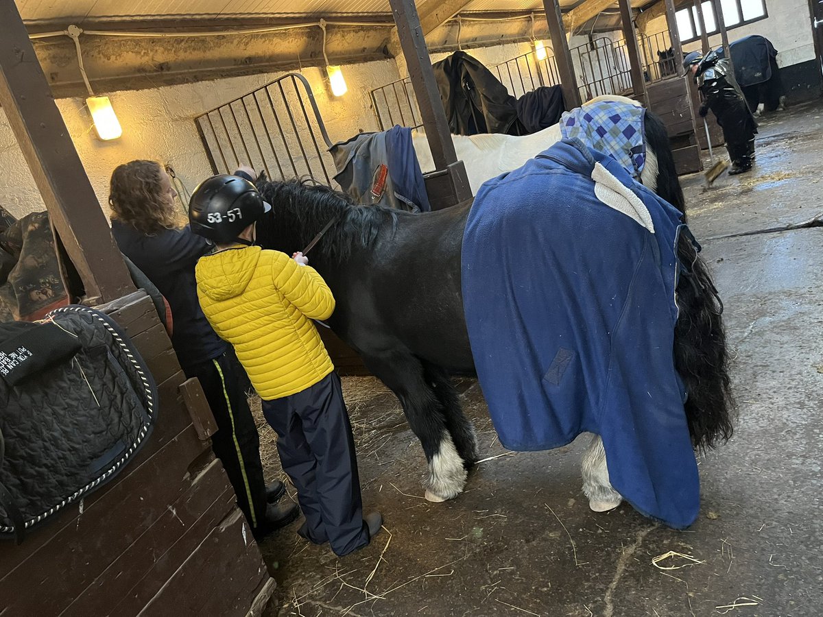 SpectropolisPIF's tweet photo. It was too wet and windy for an outdoor ride, so he spent some time working in the stable…thanks for always being so adaptable @ClyneFarmCentre 

#equine #HorseRiding #stablemanagement #helpingout #findingyourplace https://t.co/ohs58PucNq