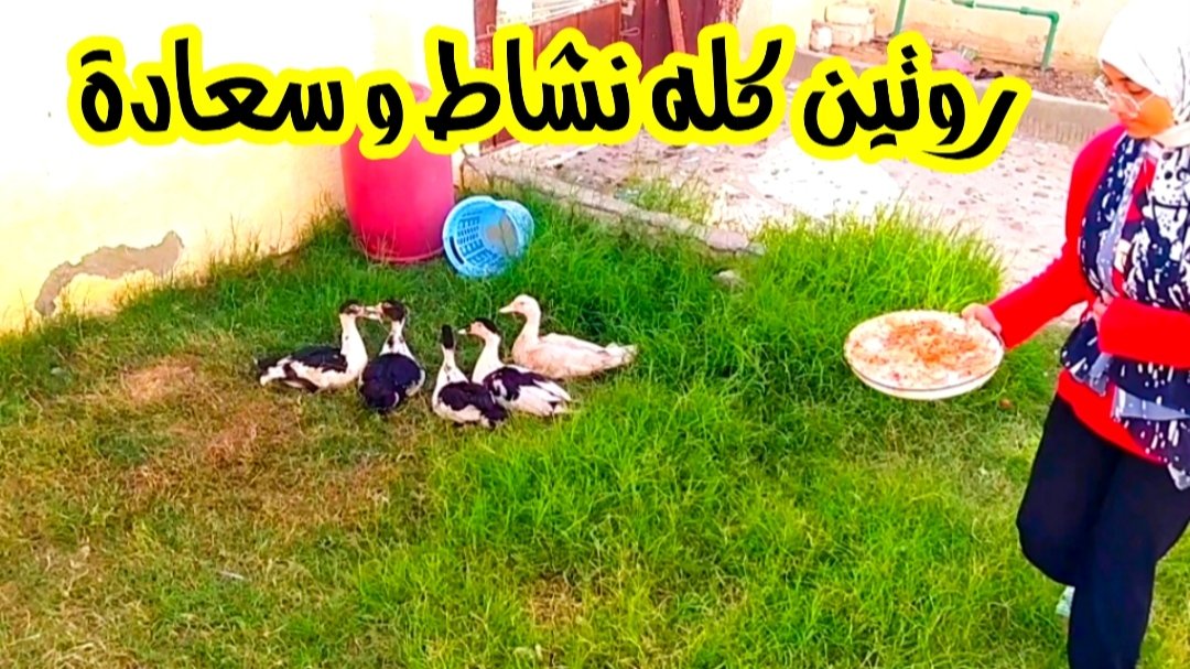 عطر الريحانة tweet media