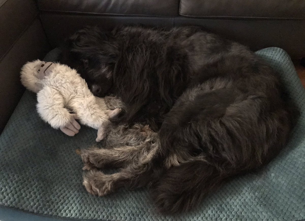 Carol Shea tweet media