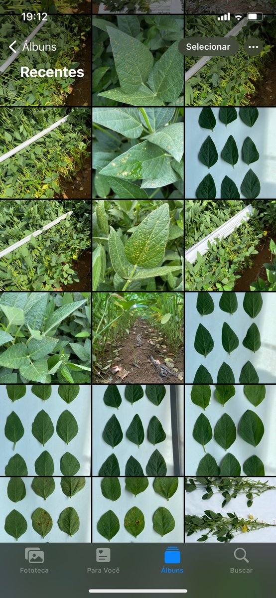Antes minha galeria era só dente, agora são plantas também 😂