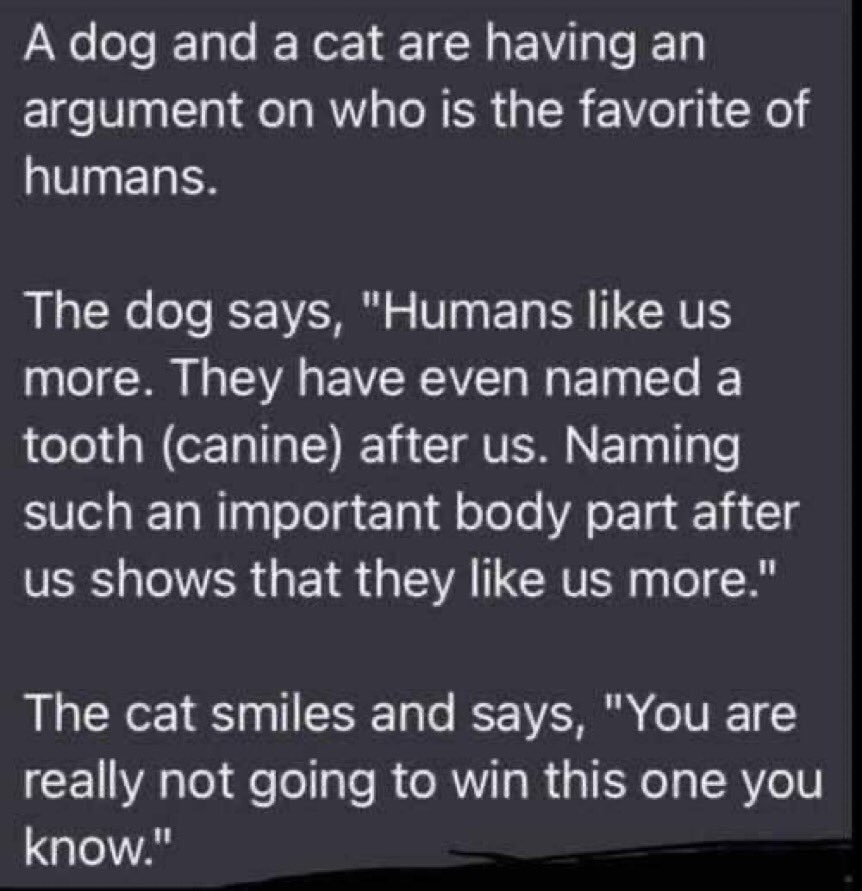 GregPyne1990's tweet image. 