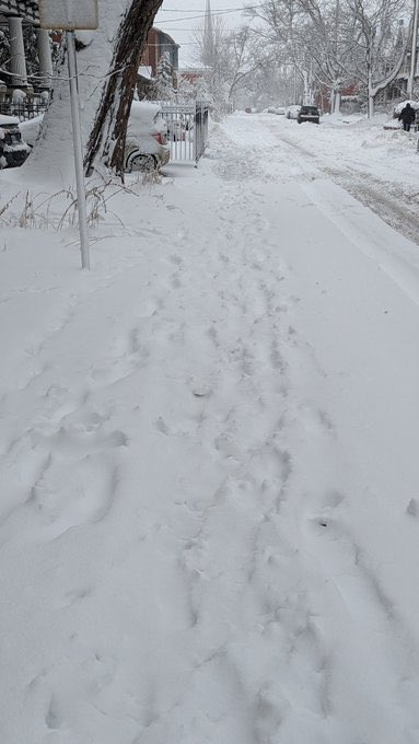 GregPyne1990's tweet image. 