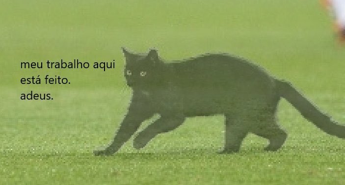 FUTEMENTALES tweet media