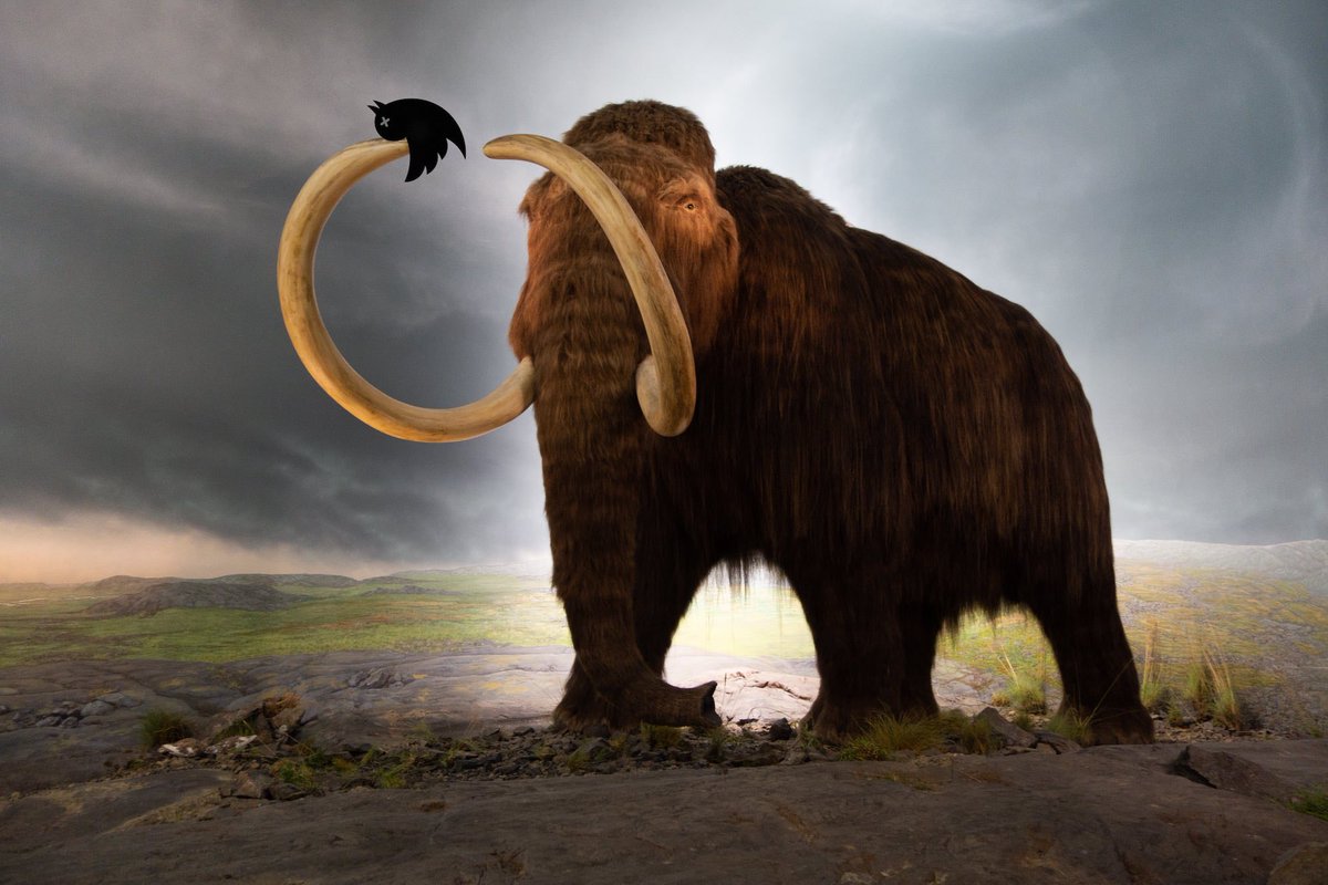 youneedapush's tweet photo. Let's all switch to mastodon.socia (add the letter "l" at the end)
I'm hoping this will get me kicked. https://t.co/8Gua8NSDGh