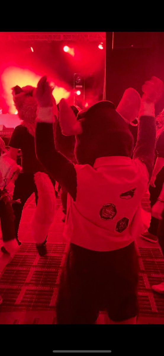 I need furs to mosh with #fursuit #fursuiter #furfest2022 #mff