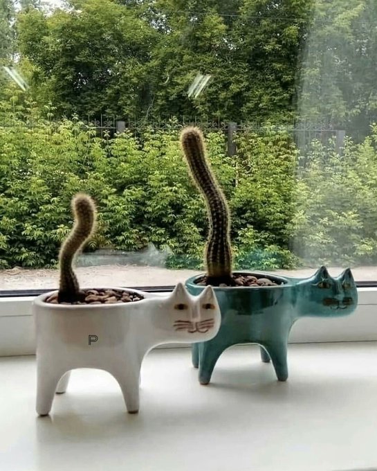 Perfect flowerpots #HappyCaturday https://t.co/EEdTWIysA0<a href="/tag/happycaturday"class="tags">#HappyCaturday</a>