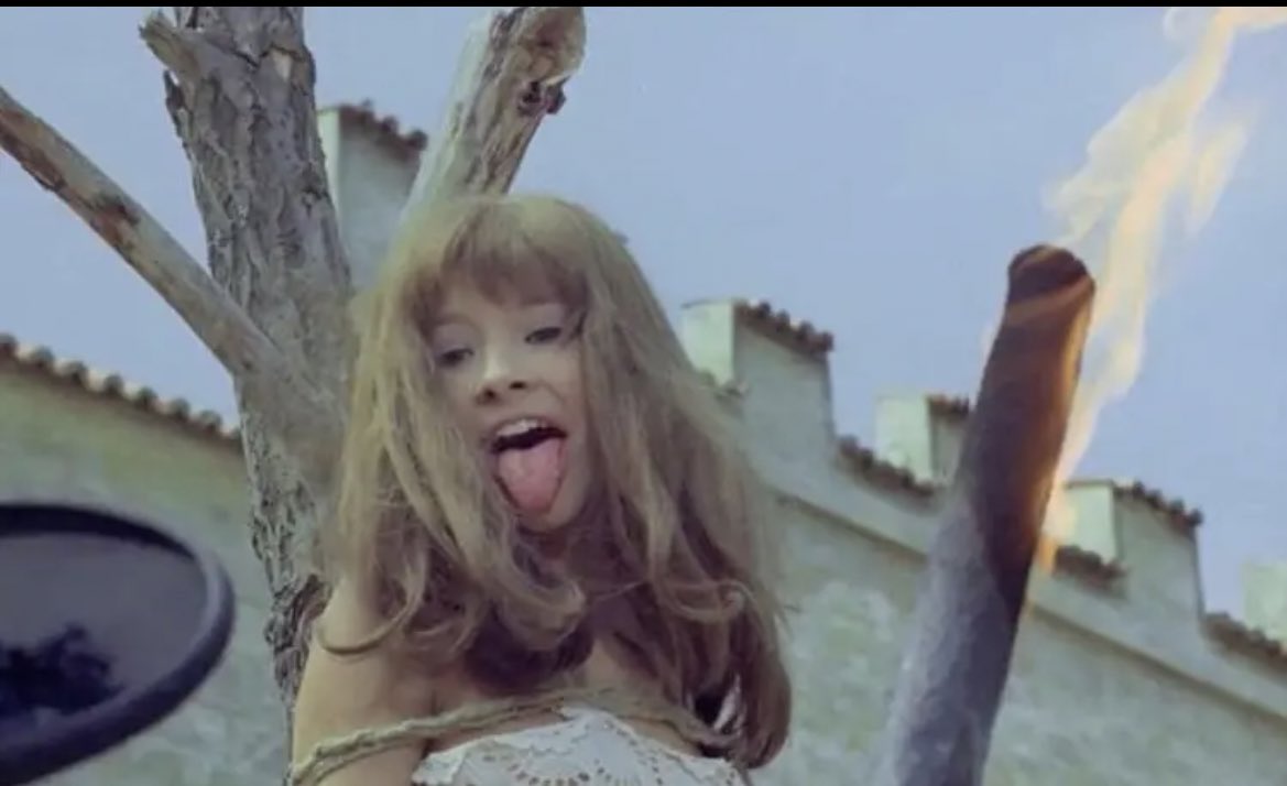 Italian Meevin tweet media