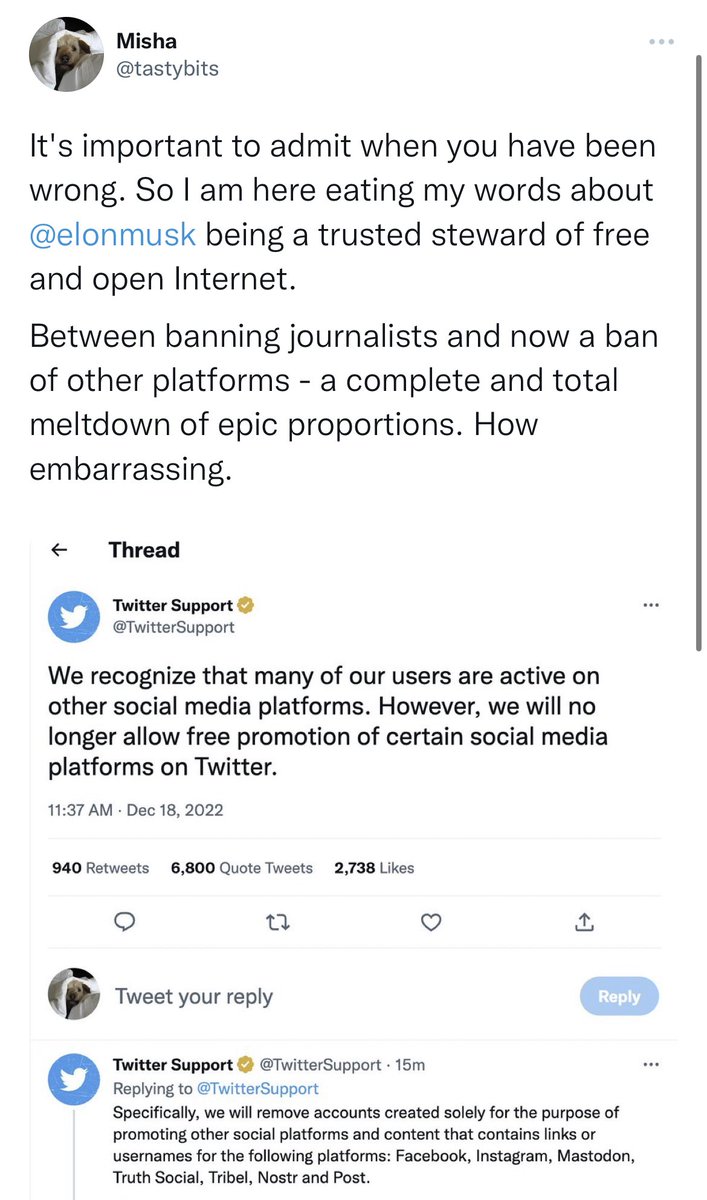 Misha Govshteyn tweet media