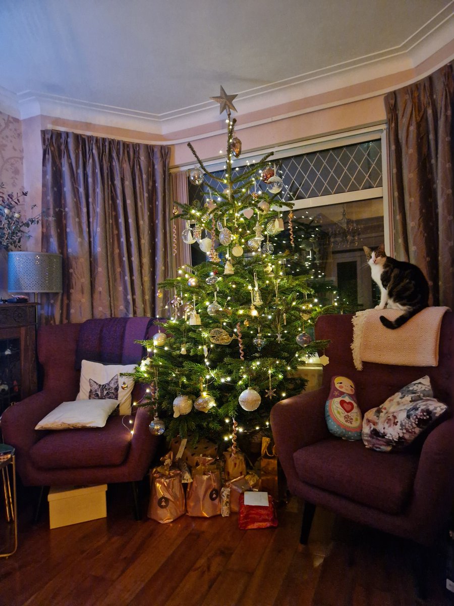 JanetHesterRobb's tweet image. Toby wondering why I still have this bloody annoying green thing in his room. Can barely see out his window.@takethetreedown