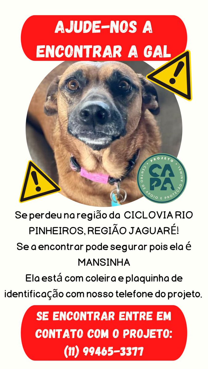 MarianaAidar's tweet image. Ajudem a divulgar por favor! 🙏🏻😔💔
A Gal fugiu em SP, ela mora na ciclovia do rio pinheiros na área do Jaguaré.
Não sabemos como ela escapou pois o local em que estava é todo cercado.
Ela esta com coleira e plaquinha de identificação. Por favor, me ajudem a encontrá-la! 🙏🏻🙏🏻