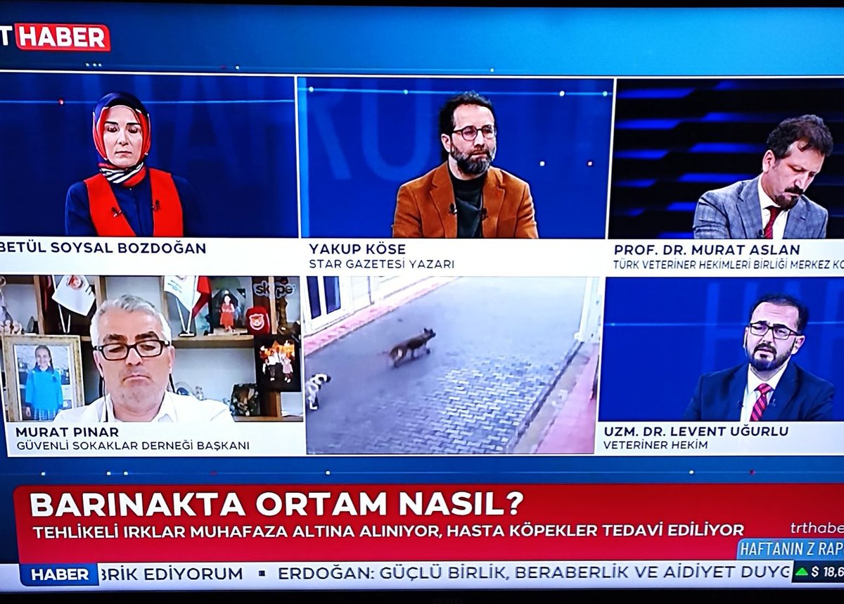 Siz bu ülkede yaşadığınıza emin misiniz? 
#TRTdekatliamvar

Alttan ısıtmalı çok guzel dediğiniz barınakta köpekler kürekle öldürüyorlar.
Siz hikaye mi anlatıyorsunuz ?
Orda oturanlar da kim oluyor ? 
Bir kere de yaşam hakkını savunanlari dinleyin!

Ölüm çağrısı yapanları değil!