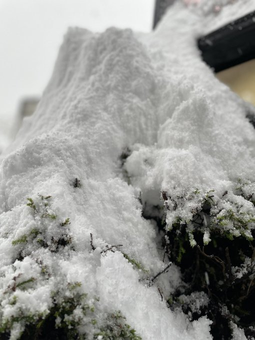 Twitterのコスプレ画像31