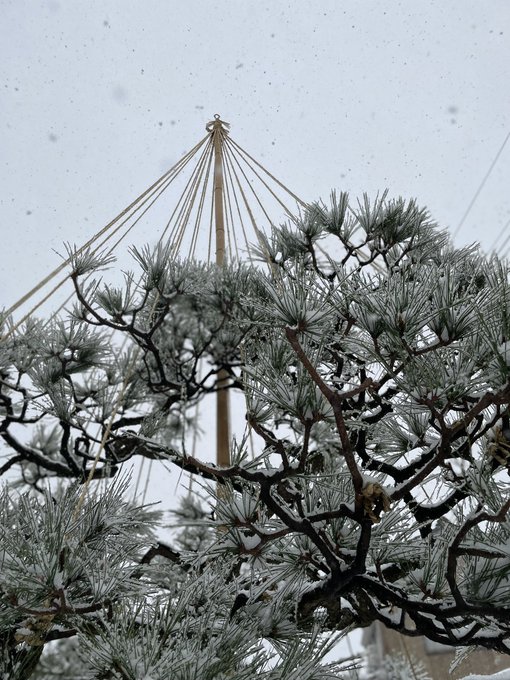 Twitterのコスプレ画像30