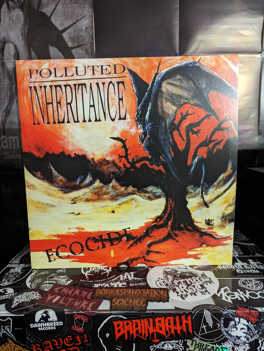 90s Dutch death metal gem from 1992..

Polluted Inheritance
'Ecotide'

#metaltwitter #whatsspinning #deathmetal #vinyl #recordcollection