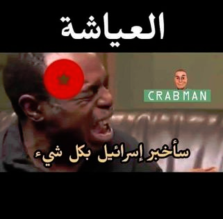 dalidamimi2's tweet photo. @CorpZak4 @NBelloula 🇲🇦🐷🇲🇦🤫🤐🐷🤐🤫🇲🇦 https://t.co/eS6apE3rAN