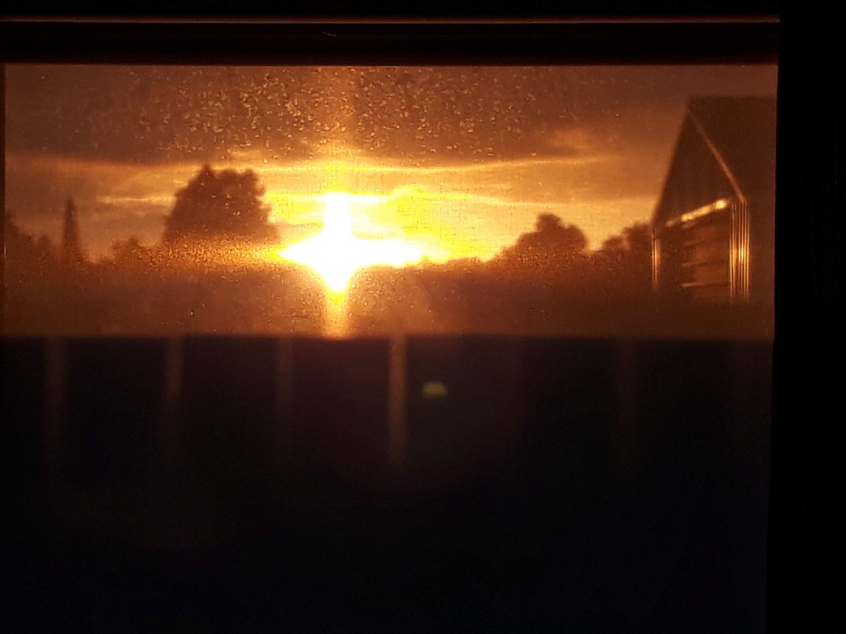 KiwiAliceM's tweet photo. @admired_art Taken from inside my house. Excuse the dirty window lol #sunset #goldenglow https://t.co/dNNhudQ3Mi