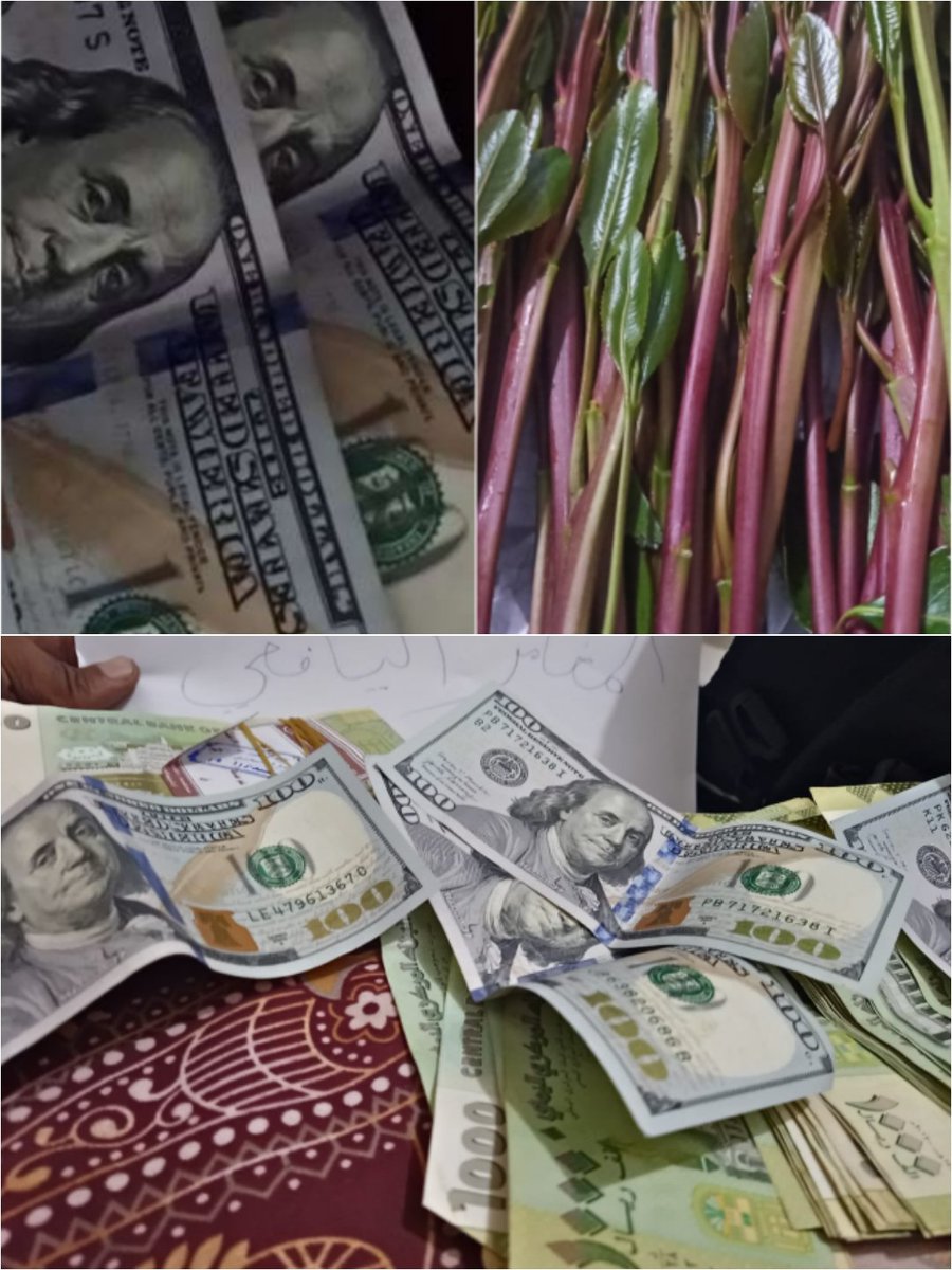 فين البنت الجاده والصادقه