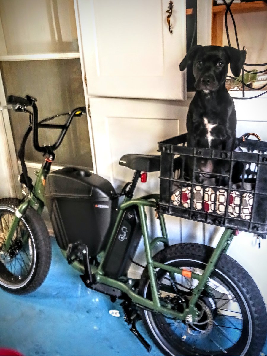 dickiefeins's tweet image. #EasyLikeSundayMornimg #Ebike #RadPowerBike #RadBikes