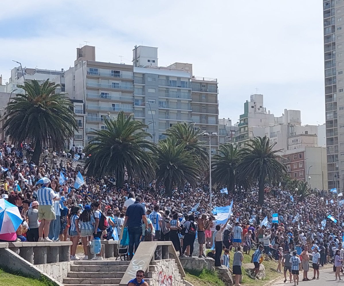 Italia en Mar del Plata tweet media