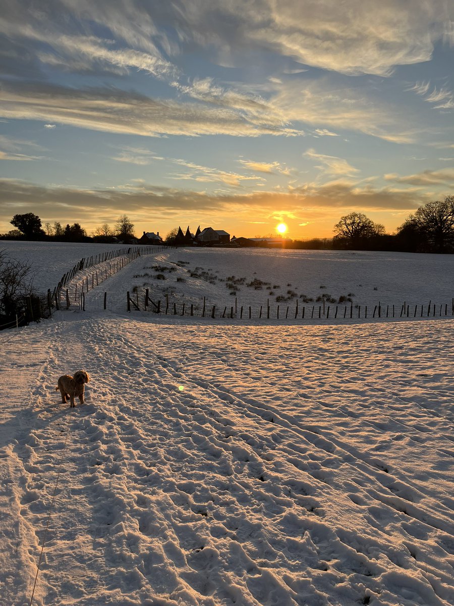 simonmhill's tweet photo. So as the gloomy winter rain arrives…here’s the view from taking Goldie out yesterday afternoon…wonderful light and sunset…#ThisIsKent https://t.co/ZTPKKuowlq