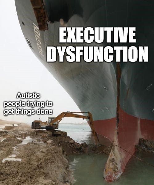 NoNonsenseND's tweet image. #AutisticMemes