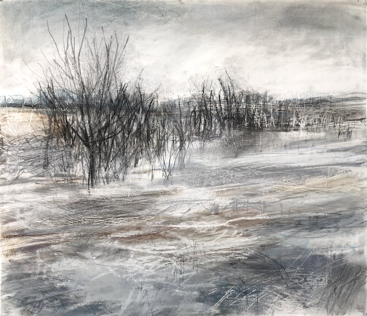 'It is written that snow is white' show @birch_gallery #Edinburgh ends 21st Dec. 24 invited artists respond to a poem by #Lithuanian émigré poet #AntanasŠkema, full of metaphors about the meaning of life. 'Ephemeral II', #pastel, #charcoal, #graphite birchtreegallery.co.uk/exhibitions/ #snow