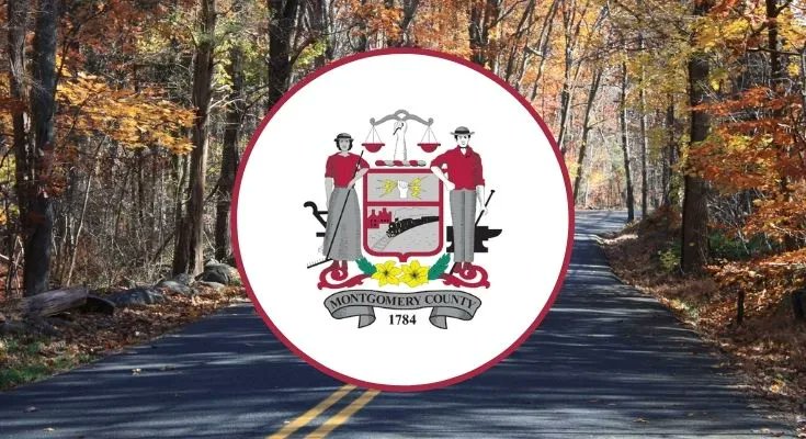 Jim DeLorenzo tweet media