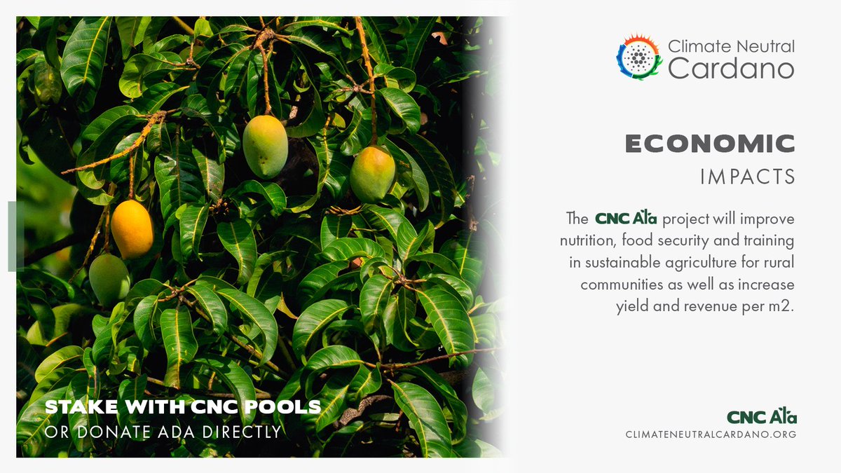 Our #CNCAla #ISPO🌿is live &amp; now we have a dashboard📊 where you can follow our progress!
Transparency in #RealFi!

Spoiler alert over 35K $ADA  donated to <a href="/TetikasaAla/">TETIKASA ALA</a> 🎉

👇
tetikasa-ala.climateneutralcardano.org

Join us by delegating to one of our member pools. Start #ImpactStaking today!