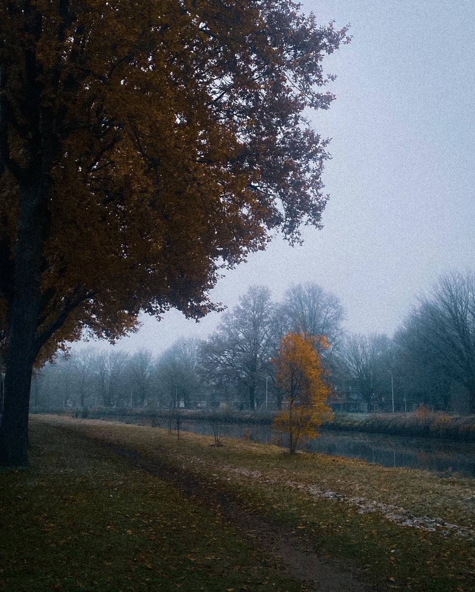 Belentwit's tweet photo. salir de tu casa y tener estas vistas, llega el invierno a holanda https://t.co/Q0Ou5AIPUO