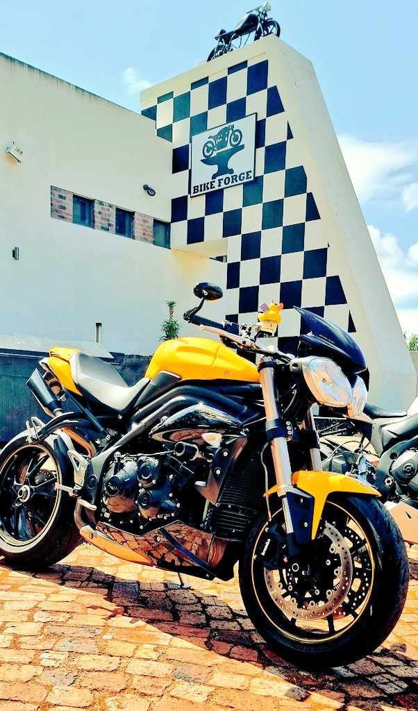 Swarmingwisdom's tweet photo. #bumblebee https://t.co/dqkaeIMwqJ
