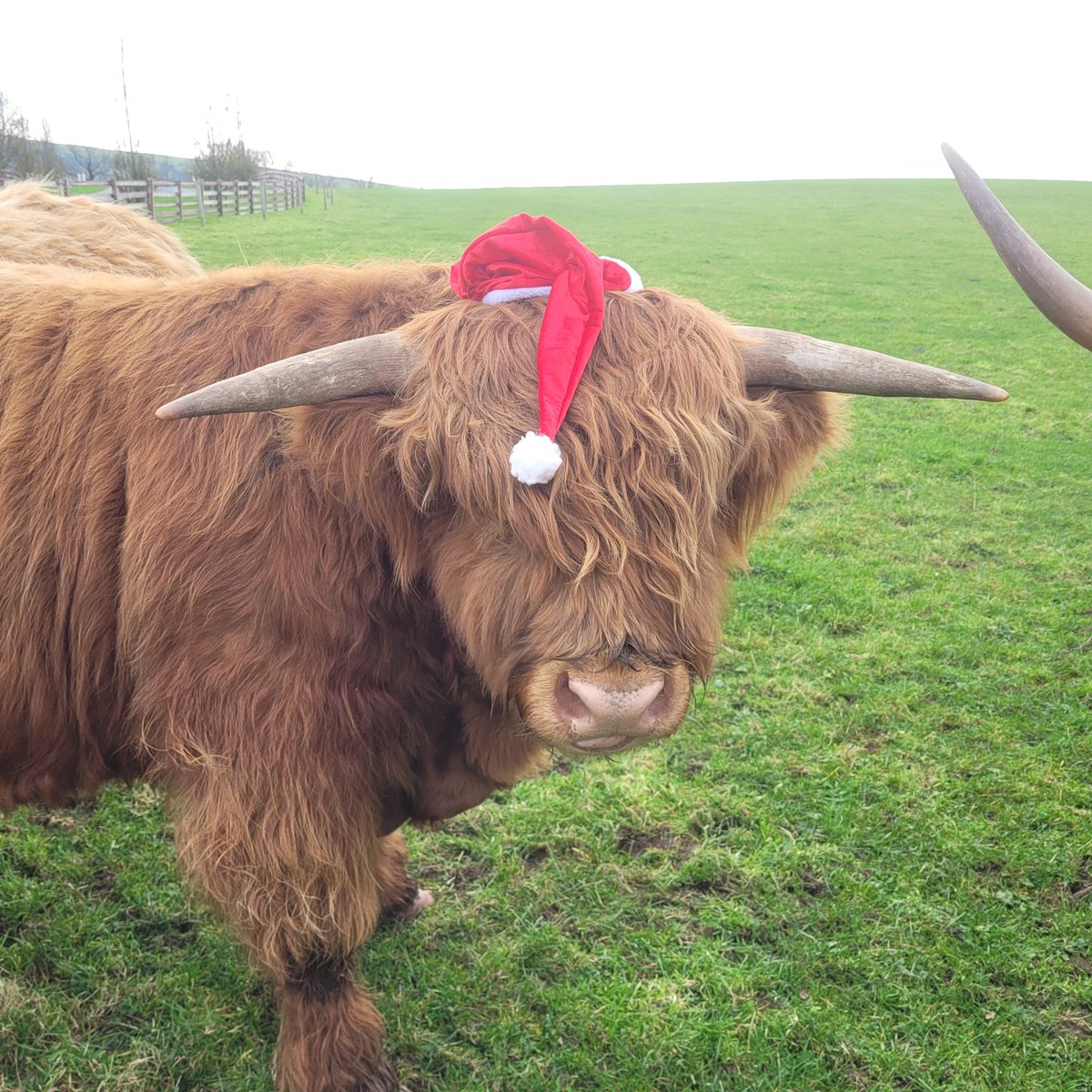 The ultimate...the big man was very obliging...mission Christmas success <a href="/Eytagteam/">The EY Tagteam</a> wishing you all the very best for Christmas and the New year, stay germ free in you last week and enjoy a well deserved rest xxxx