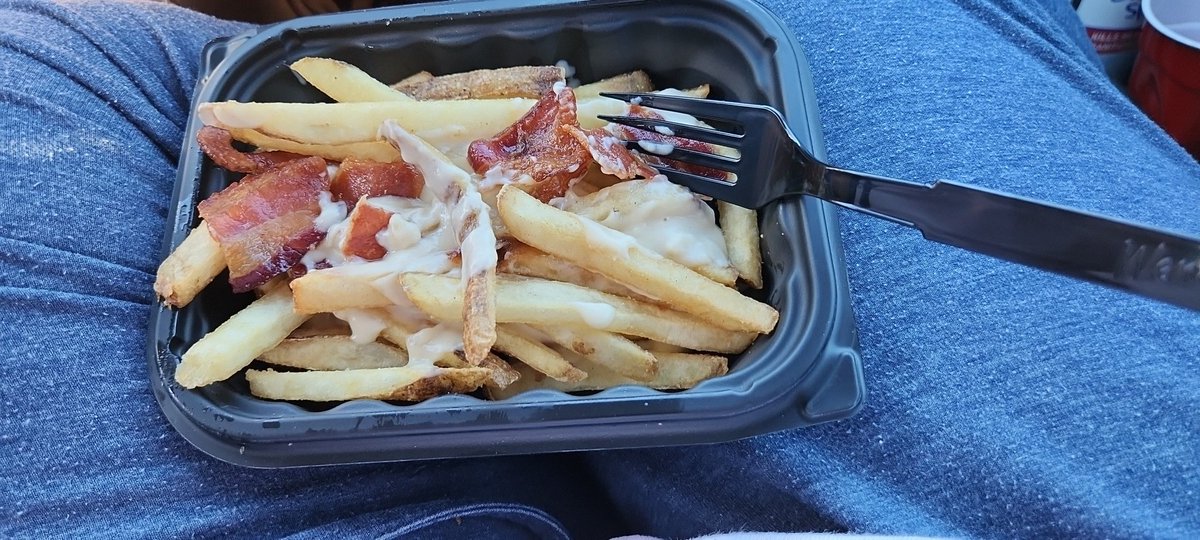 kennaalayne's tweet photo. Ah yes bacon pub fries but they didn't care @Wendys https://t.co/d4j0dKCmFg