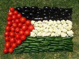 فلسطين الحياة