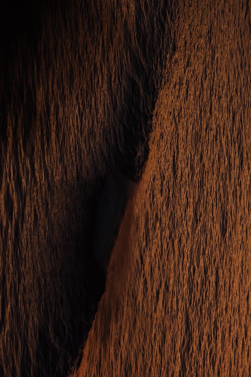 Una amiga tiene el 70-300 y me dejó probarlo