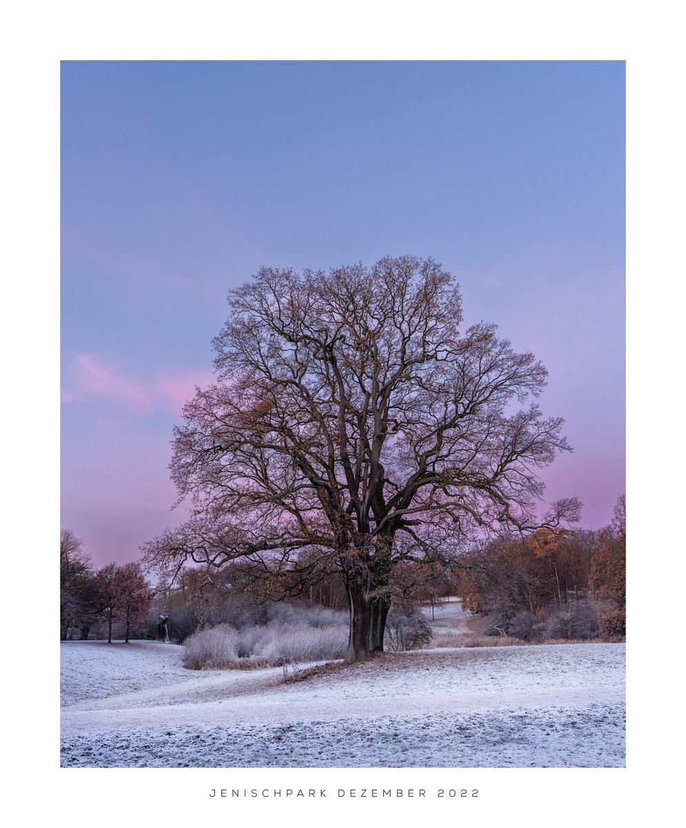 Thomasdphoto's tweet photo. I used the last morning with frost; to get an images with a little bit of snow here in Hamburg. https://t.co/YjlFIAklZd