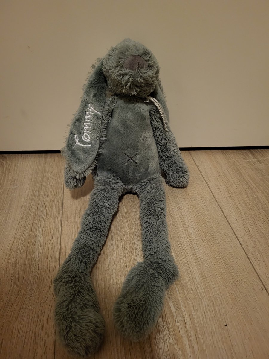 ivo_b's tweet photo. Knuffelkonijn gevonden donderdag 15 december bij de busremise #amersfoortcs hij heeft hier de hele dag gestaan. Wie mist deze knuffel? Delen=lief

#tommy #happyhorse #knuffel #gevonden @NS_online https://t.co/a5quUsO8kd