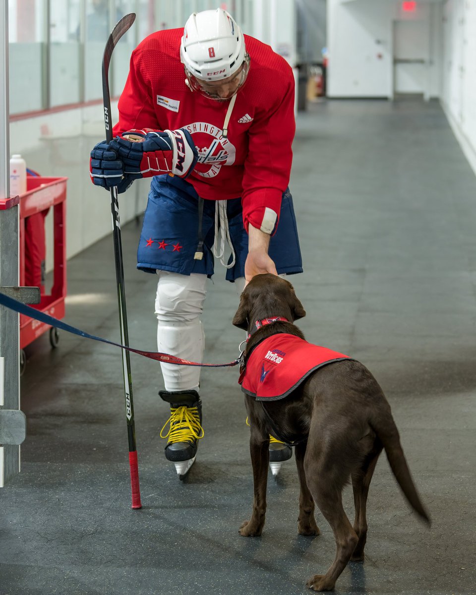 CapsPup's tweet photo. fun time at the holiday practice !! https://t.co/hKJBVUyqK4