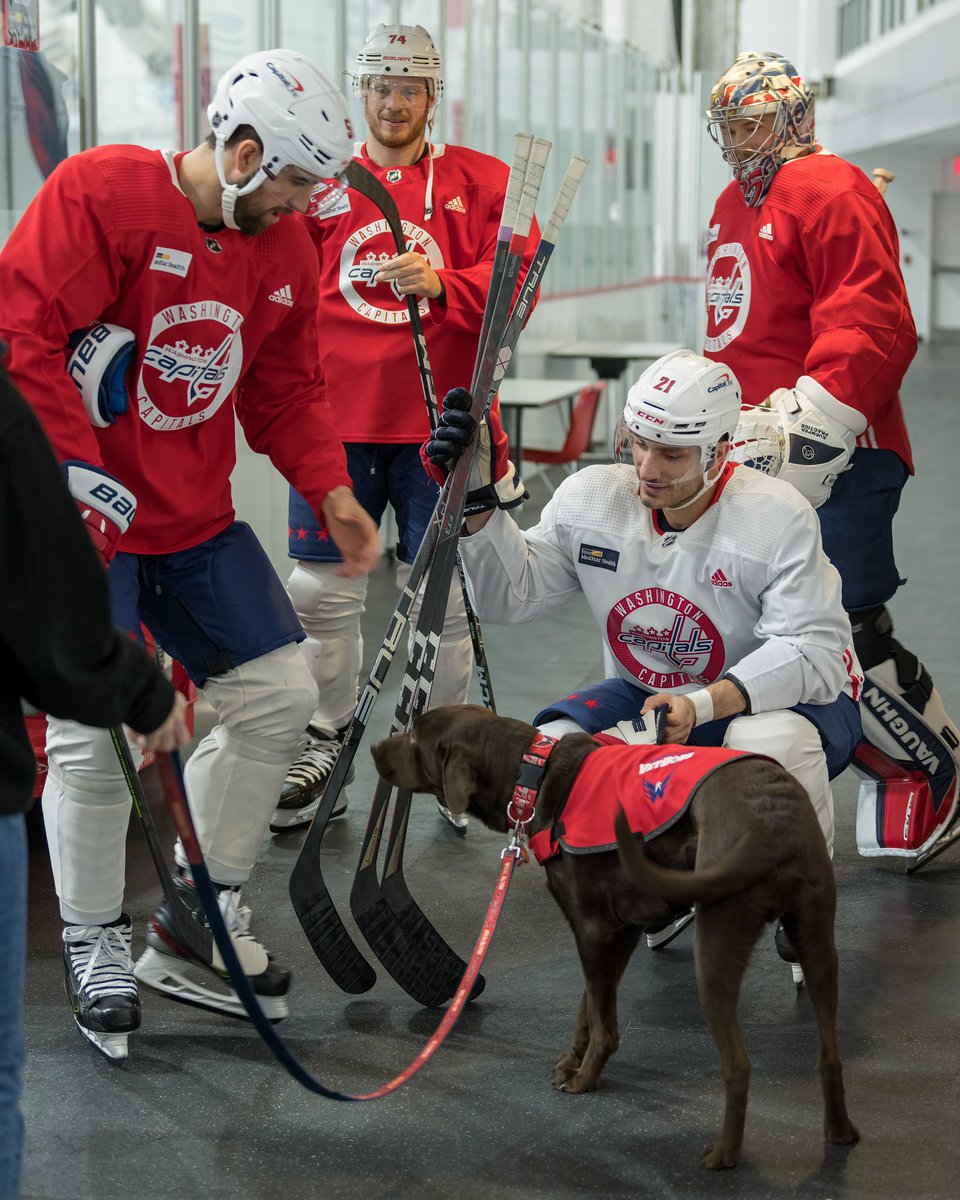 CapsPup's tweet photo. fun time at the holiday practice !! https://t.co/hKJBVUyqK4