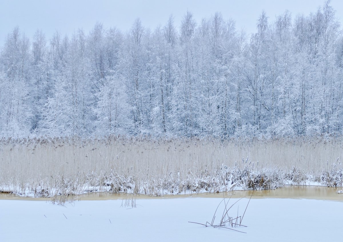 I wish you a good incoming week. Hope you have time to slow down a bit before Christmas and holidays. There will probably be one or two quiet winter pictures from me during the week. Perhaps a Christmas tree with a star at the top 🎄🌟 #goodnight