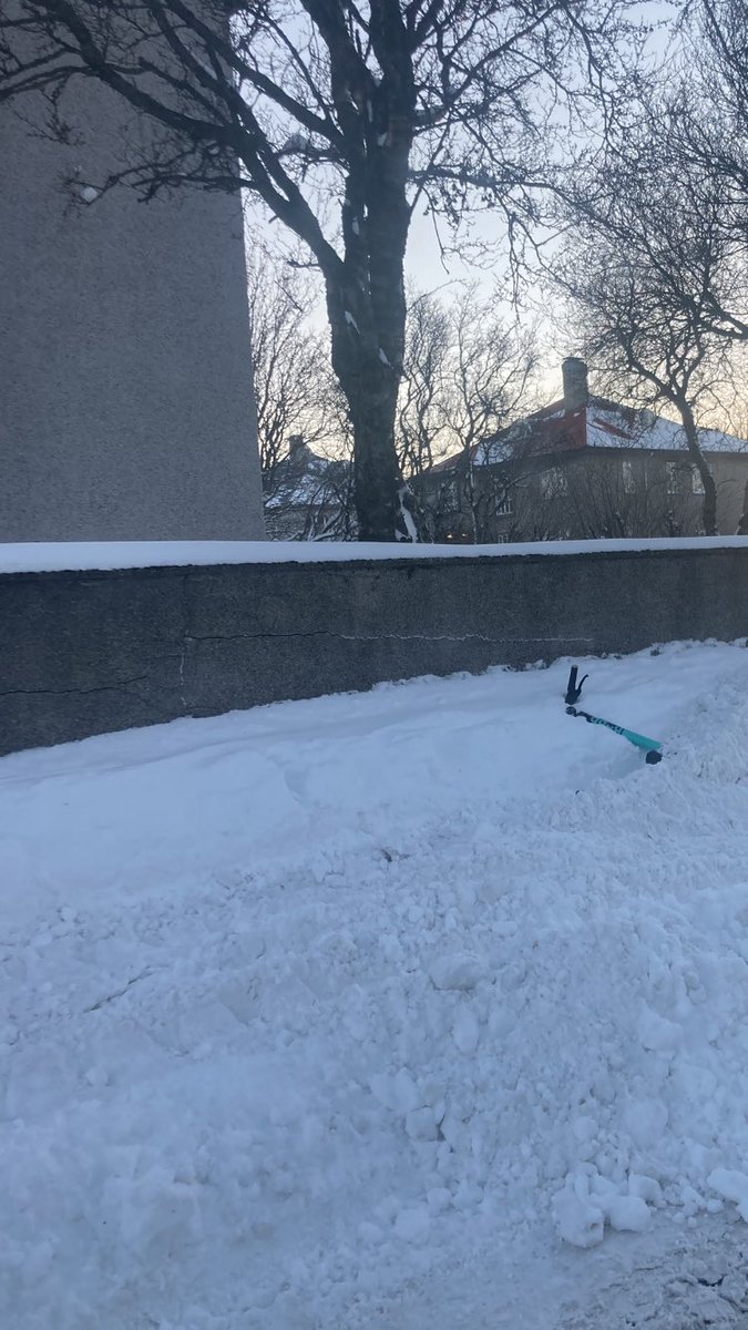 Fríða Rós tweet media