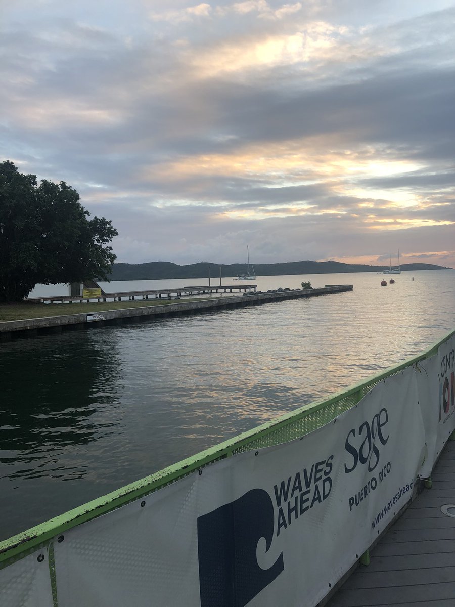 Krystal DeVille tweet media