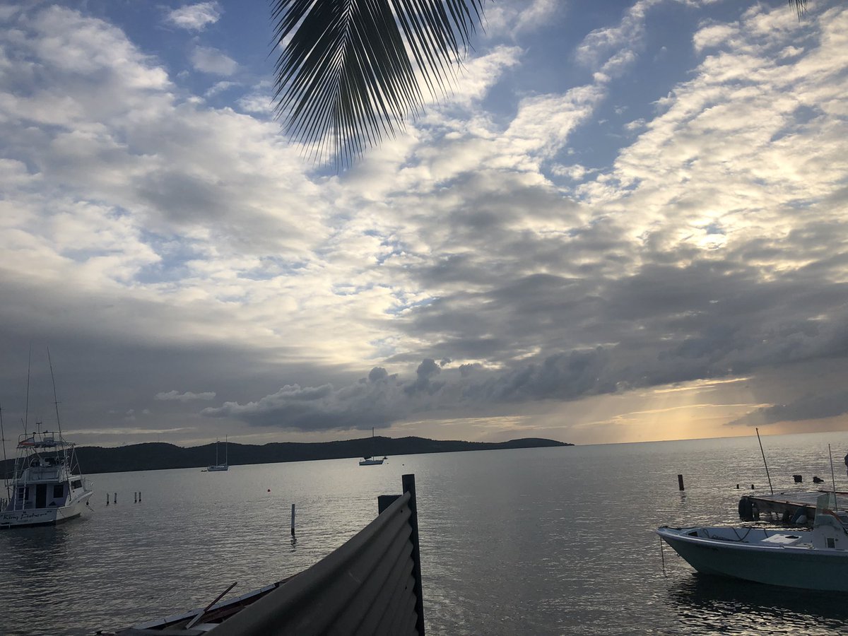 Krystal DeVille tweet media