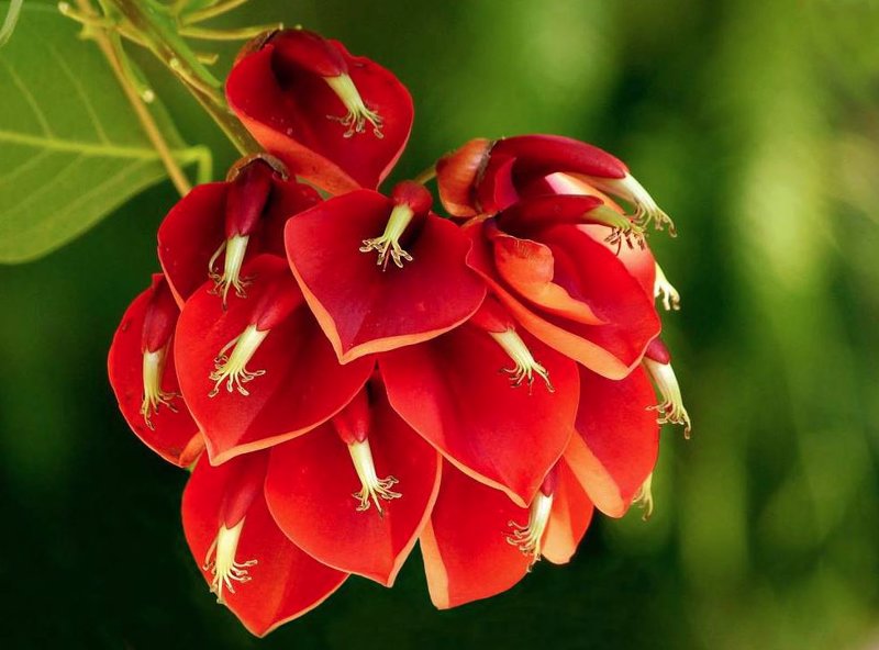 Barbara Montalvo Alvarez tweet media