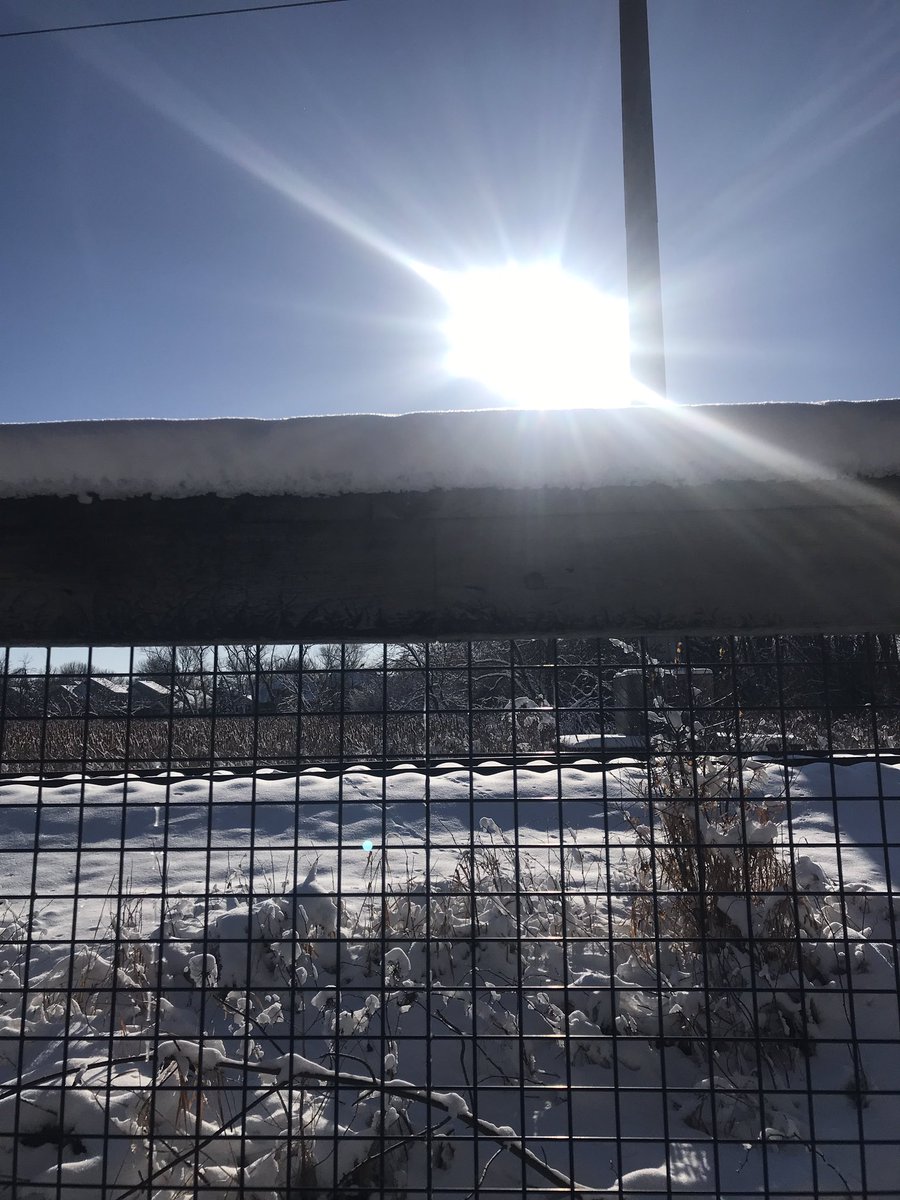 stupidtrumpers's tweet photo. Sunny Sunday Funday Runday today! 6.3 miles near the shore of Medicine Lake at the bridge & back ! @GrandmasMara #runner #SKOL #comeback #run #sundayrunday #fit #grandmasmarathon #snowRunner #mnrun #marathontraining #ultra https://t.co/QR0rxcvcvp