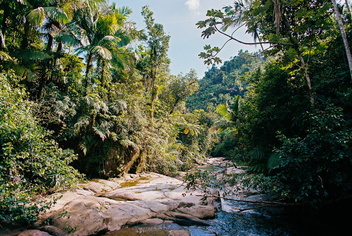 noelrrobles's tweet photo. puerto rico on 35mm film (: https://t.co/Aix9JzavEr
