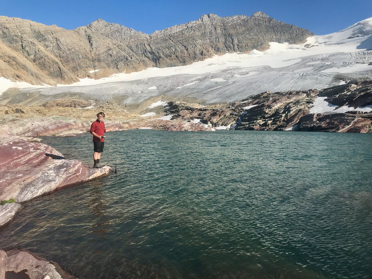 Dr. Jim Elser, PhD 🇺🇸 tweet media