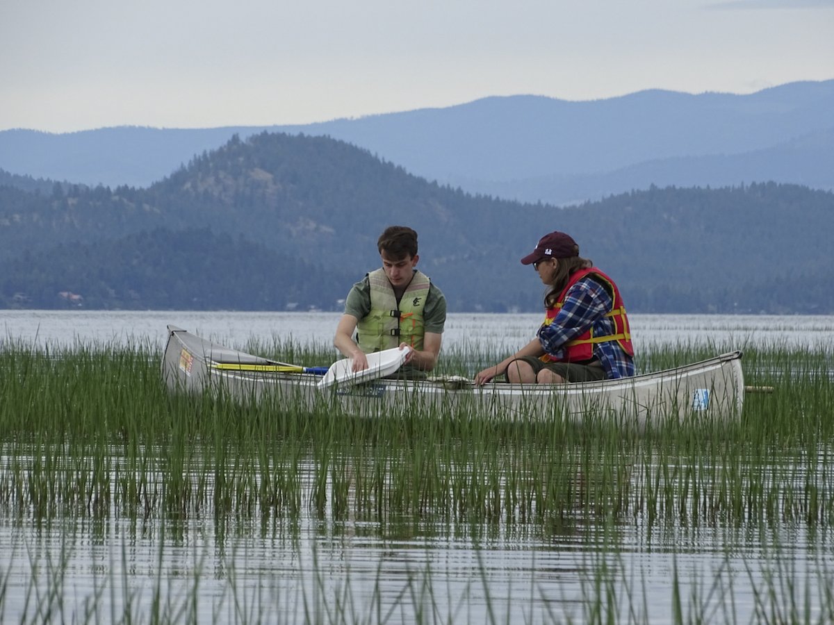 Dr. Jim Elser, PhD 🇺🇸 tweet media