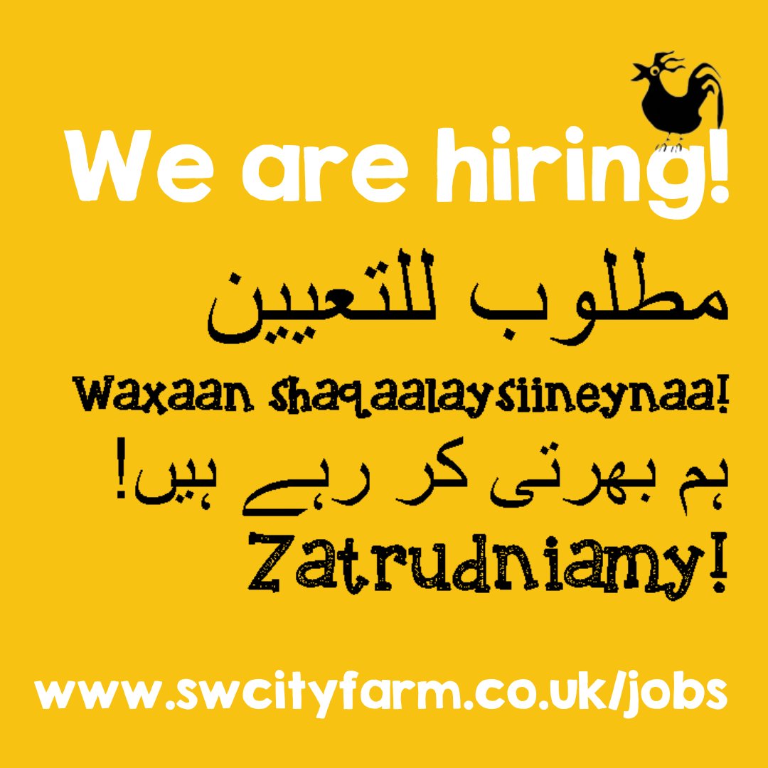 swcityfarm's tweet image. Are you passionate about creating a positive difference for people and planet? Are you committed to tacking inequality? Can you write a successful funding bid and nurture a team? Then you might be our new Co-Director! bit.ly/3C87V7x