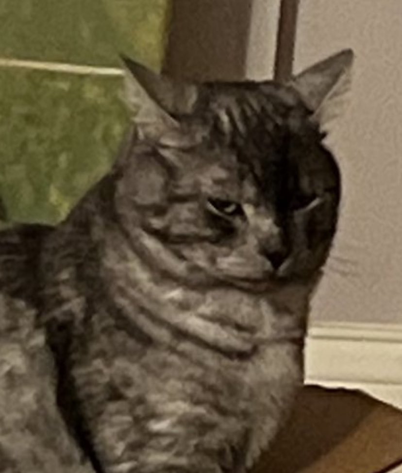 транссексуальный идиот tweet media