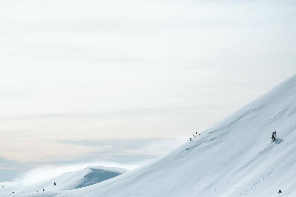 indiboix's tweet photo. Les vistes d’avui
.
.
.
.
.
#Territoriindi #neverstopexploring #outdoor #stealingmoments #winter #pyrenees #freeride #mountains #pirineus #parcnaturalaltpirineu #zagskis #elevateyoursensations https://t.co/9smoR8Zy4e https://t.co/OE1Vbb31GA